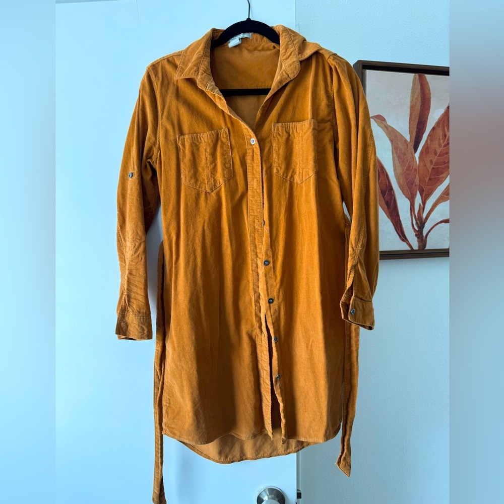 Lucky shirt dress